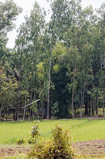 Famille et amis-AVR16-025